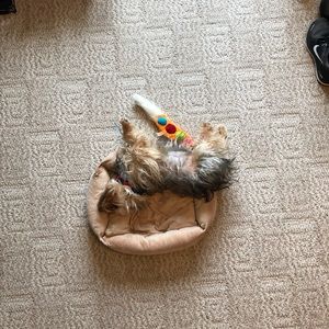 Meet your Posher, Dane